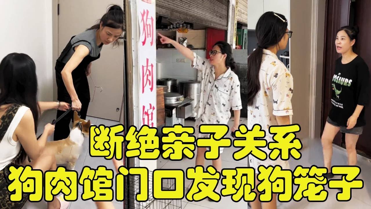 狗肉馆门口发现柯基笼子，已经被做成狗肉火锅？直接跟恶毒妈妈断绝亲子关系！【勋勋】