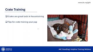 AKC GoodDog Helpline: House Training Webinar