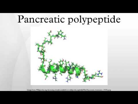 Video: Pancreatic polypeptide