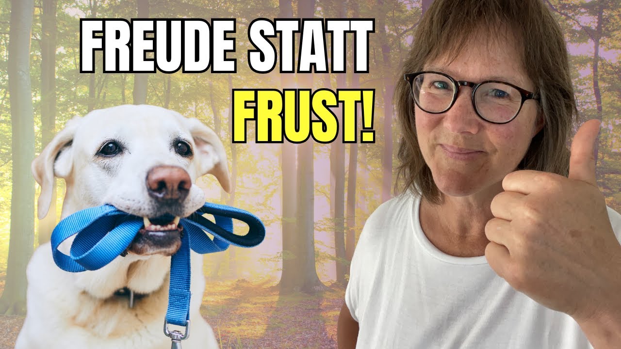 Damit dein Hund die Gassirunde liebt   tu besser DAS!