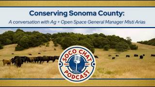 Conserving Sonoma County: A conversation with Ag + Open Space General Manager Misti Arias