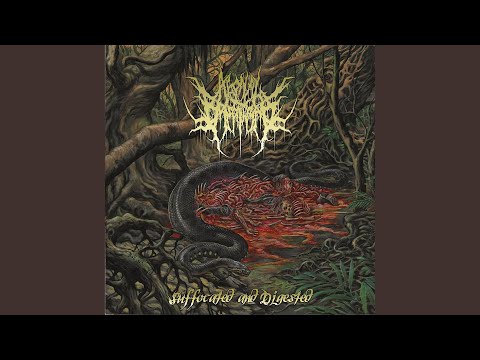 Agonal Breathing — Suffocated and Digested