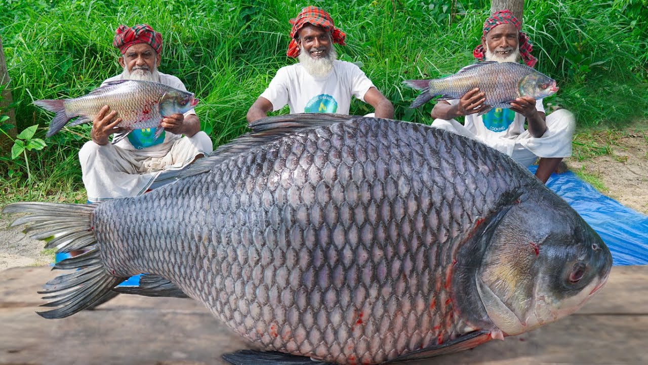 Big Catla Fish Curry – Katol Macher Vuna – Expensive Fish Cooking for Old Age Special People