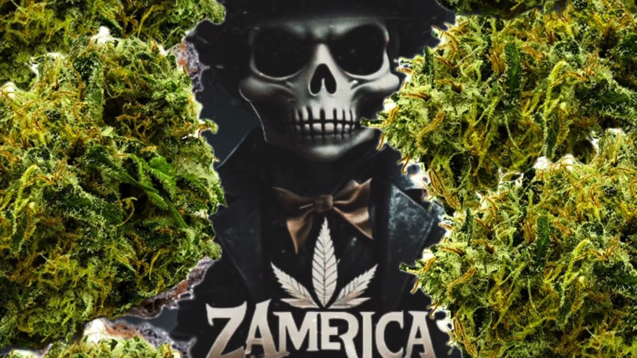 Welcome to Zamerica ( Black Tuna )