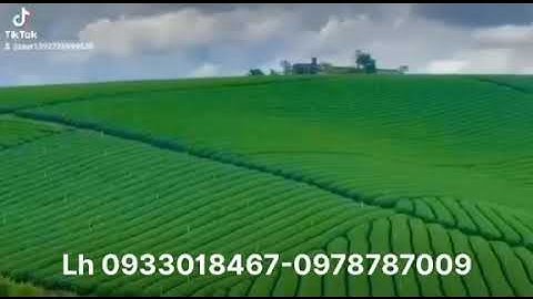 Đất nền bảo lộc, lâm đồng. Gọi ngay có liền 0933018467-0978787009