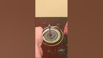 Gyroscope || angular momentum || starprime #science #scienceexperimentfacts #experiment