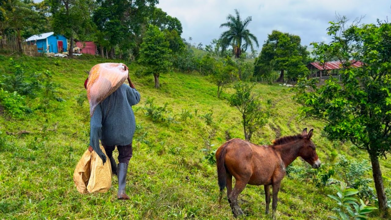 DON CHINO Y SU HISTORIA EN EL CAMPO 