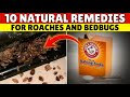 Bed Bugs Can't Survive This Common Kitchen Remedy