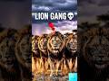 “Deadliest Lion Gang Ever 🦁🔥”#shorts