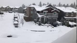 Snowing In Lake Stevens