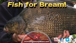 Fish for bream! See what gear will catch you more fish!