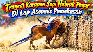 Download lagu Bull Racing Tragedy: Crashing into a Fence at Asemanis Field, Pamekasan
