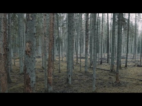 Video: Kaip Nutraukti Bažnyčią