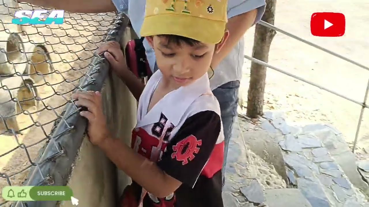 สวนสัตว์เข้าชมฟรี สถานีเพาะเลี้ยงสัตว์ป่าเขาสน จ.ราชบุรี แวะมาหาน้องยีราฟกันนะครับ