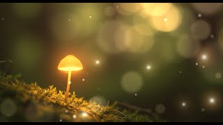 Brain Boost Fungi Music | Focus and relax🌸 Harmony for Your Body and Mind