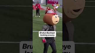Brutus looking fly for the OSU game 😮‍💨 #cfb #osu