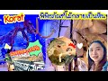 Korat ep2/3 พิพิธภัณฑ์ไม้กลายเป็นหิน|ร้านตำโคราช|มื้อเย็นต้นเสบียง|wood in house|เซฟวัน|ไนท์บ้านเกาะ