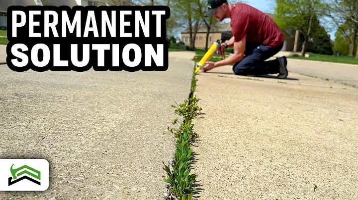Weed-Free Driveways and Sidewalks: The Ultimate Solution!