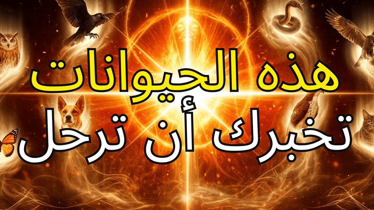 حيوانات تظهر عندما يريدك الله أن تترك مكانًا أو شخصًا