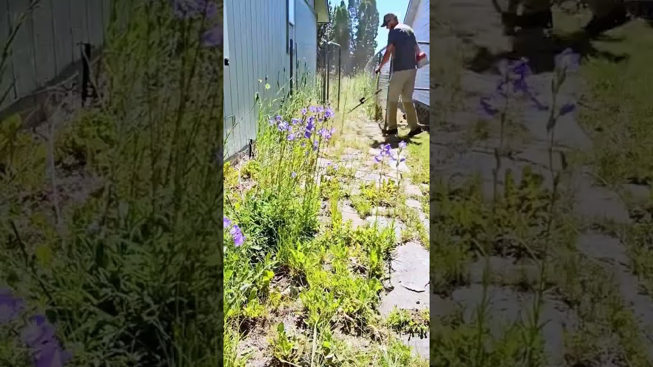 Cleaning and decompression video