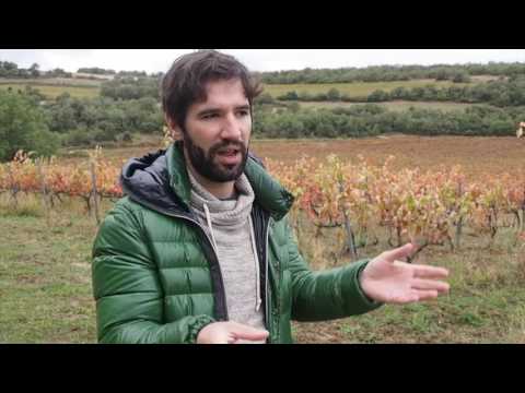 Vintae's high altitude Uncastillo vineyard in Aragon