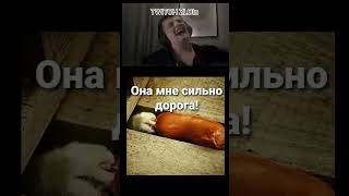 #артурзлой #мем #twitch #funstream #игровоенастроение #смехсквозьслёзы #чатики #memes #клипчик