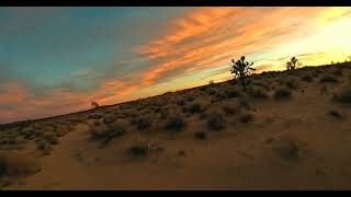 Sunset in the Mojave desert , 4K | Premium Video | Stock Video | Without watermark
