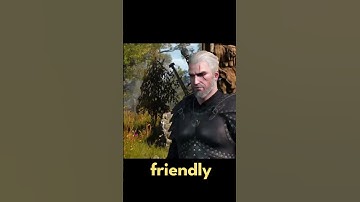 You Can SAVE This dog in The Witcher 3 and You Will Start a Secret Quest 🐶 #shorts