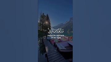 تلاوة تريح القلب💛 قرآن كريم حالات واتس اب دينية