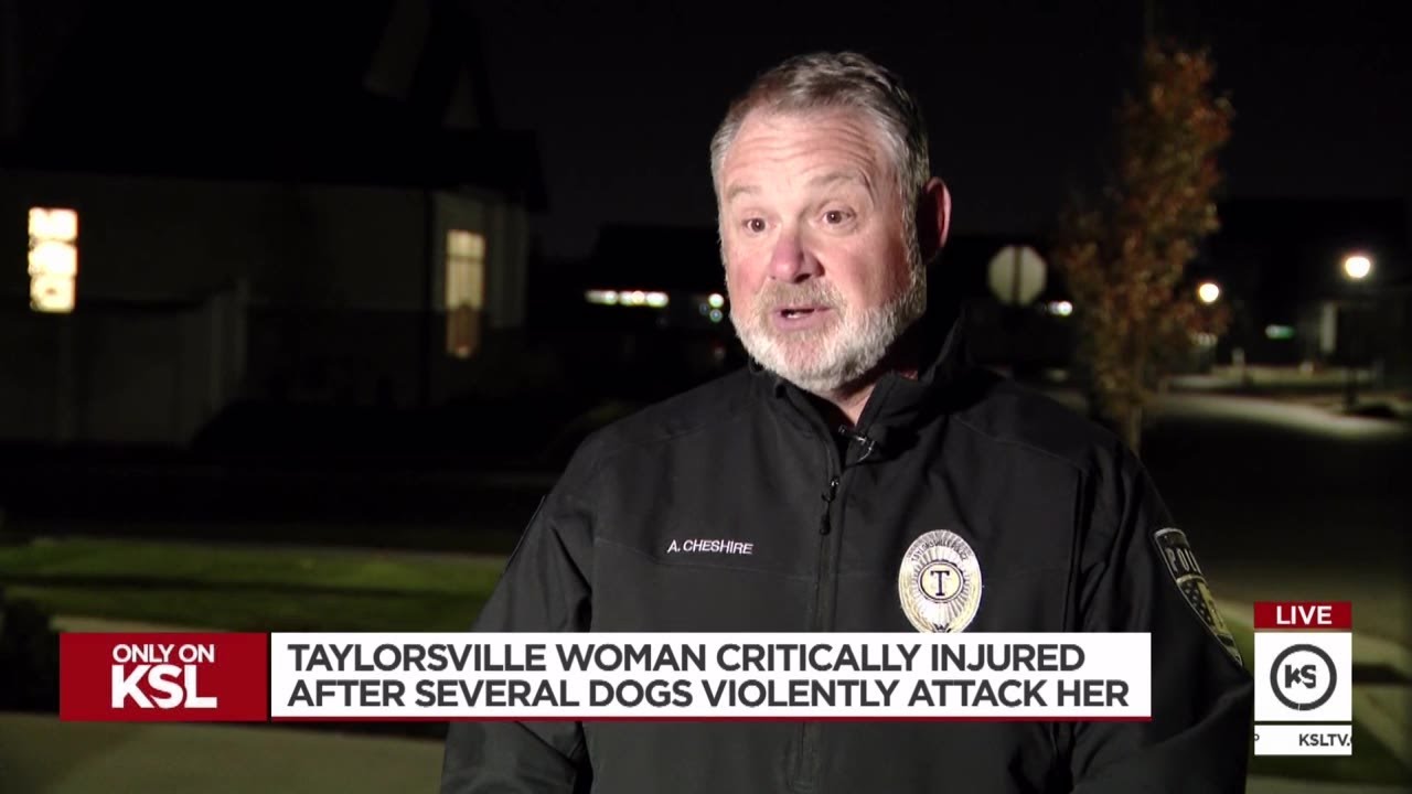 Woman critical after dog attack in Taylorsville - YouTube