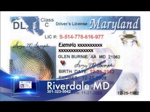 Requisitos para tener su licencia de conducir Maryland