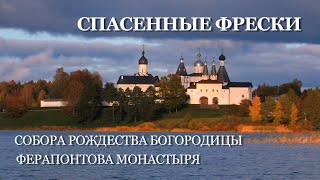 «Спасённые фрески собора Рождества Богородицы Ферапонтова монастыря»