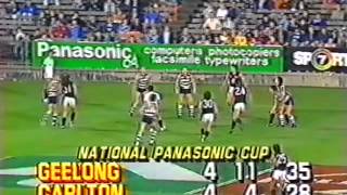 1987 Geelong v Carlton VFL Panasonic Cup