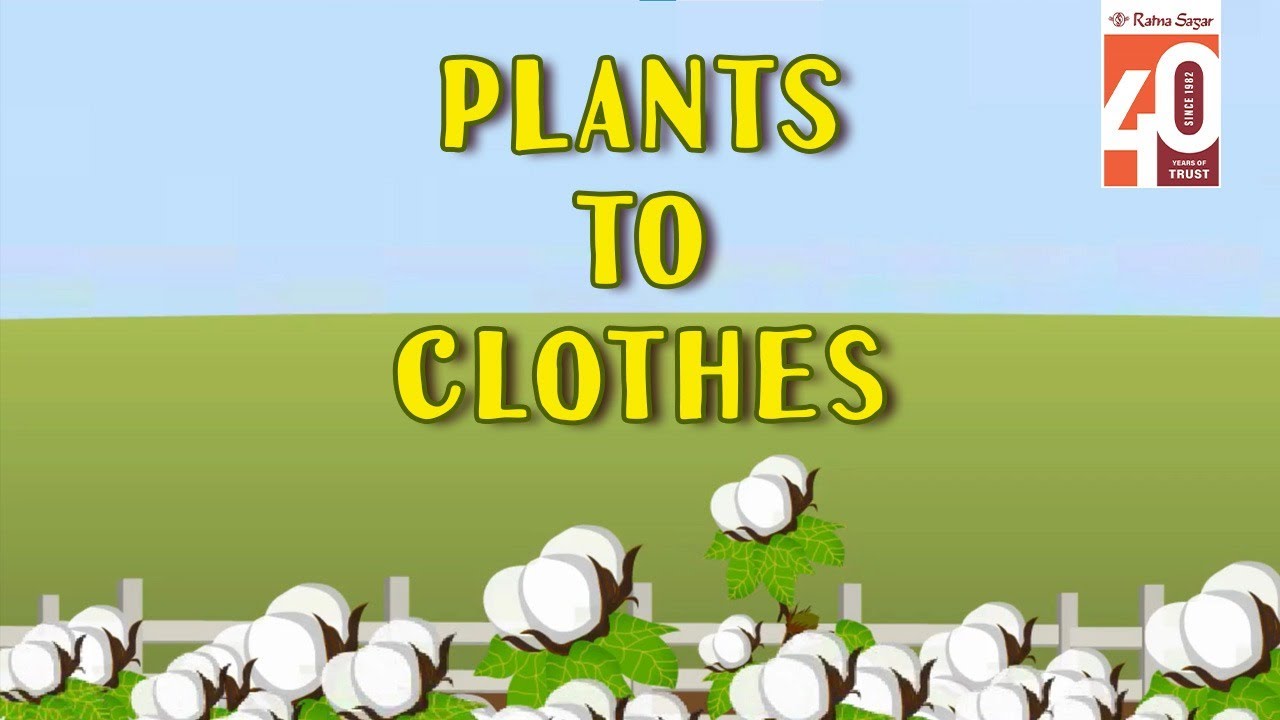 Plants to clothes | How Plants Provide the Fibers for Our Clothes | 2D  Animation by Ratna Sagar