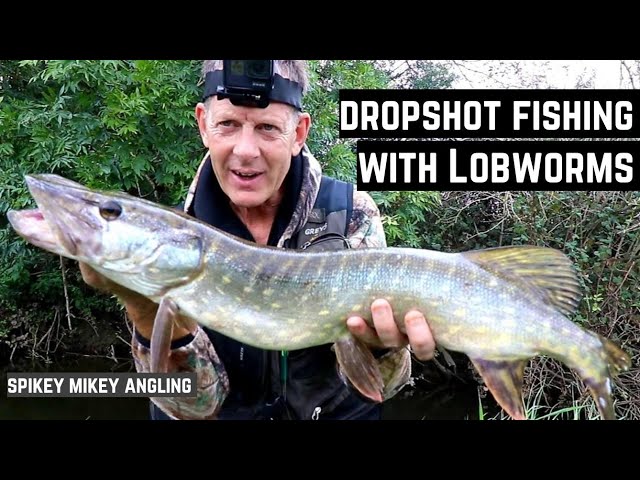 Dropshot fishing - Small snaggy rivers - with Lobworms 