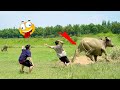 Try Not To Laugh with 45 Minutes Comedy Videos - Best Compilation from SML Troll - chistes 2021