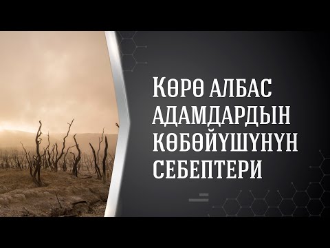 Video: Ален Делон аттуу советтик нике аферисти 