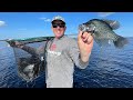 Crappie Beat Down on Lake Okeechobee ( Catch Clean &amp; Cook)