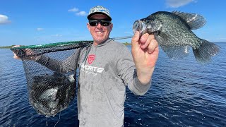 Crappie Beat Down on Lake Okeechobee ( Catch Clean & Cook)