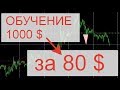 Форекс для начинающих - YouTube