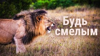 Имей смелость... - Мотивационное видео (Мотивация Х)