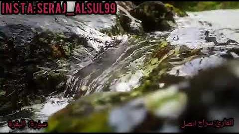 تلاوه بياتيه ليبيه بصوت جميل ❤#ليبيا #قرآن  القارئ سراج الصل