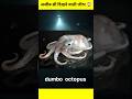 dumbo octopus |😱 एक अजीब सी दिखने वालीं जीव|🫥#youtubeshorts general knowledg |
