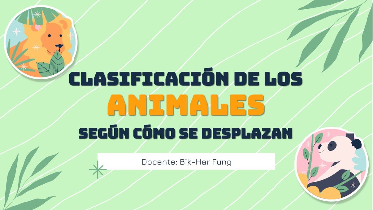 Clasificación de los animales según su desplazamiento. - YouTube