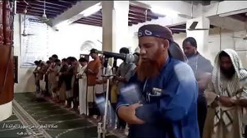 القارئ خالد هبة المخا