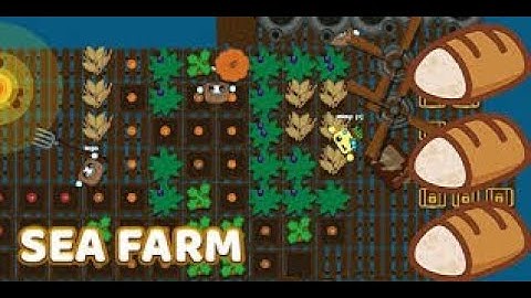 Starve.io Sea Farm Best Record