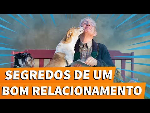 Vídeo: 7 Dicas para arrombamento de filhotes de cachorro aprovadas pelo treinador