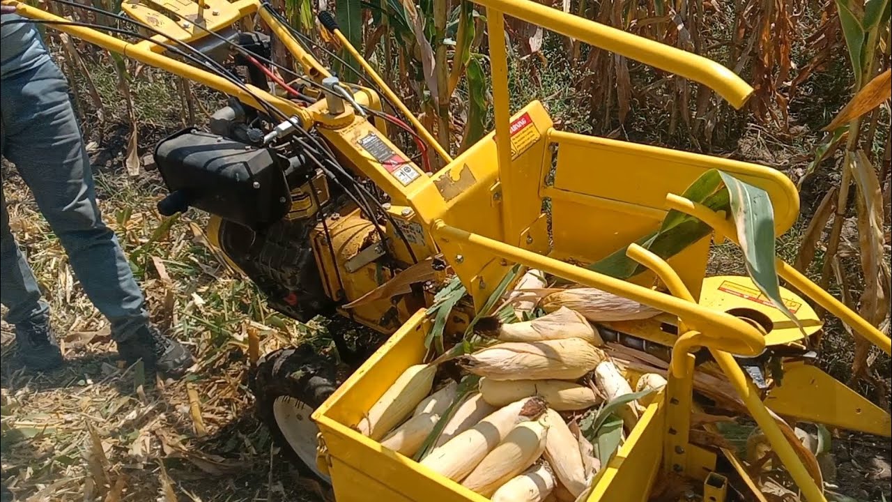 मक्का हार्वेस्टर | अब हो जाएगी मक्का Harvesting बहुत ही आसान | Maize Harvester | KK-MCH-01D