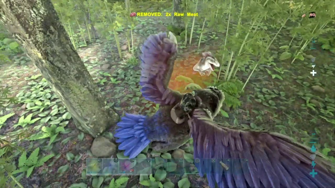 Alpha Raptor Vs Raptor Alpha Raptor (level 150) Vs Argy ARK Survival Evolved - YouTube