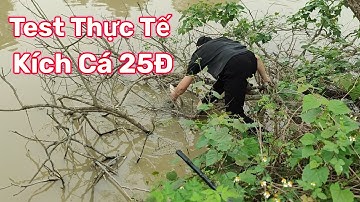 Test Thực Tế Kích Cá Rô Phi 25Đ - Máy Kích Cá Chung Đội Hưng Yên